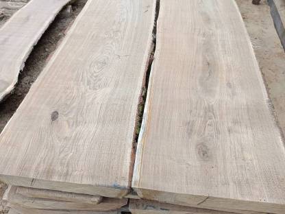 Bild 2:Eiche, Eichenholz