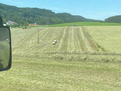 Heuballen/Pferdeheu