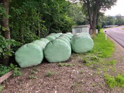 Siloballen 2-3 Schnitt 2025