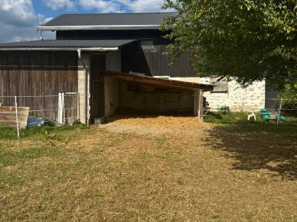 Bild 2:Einstellplatz in Offenstallhaltung