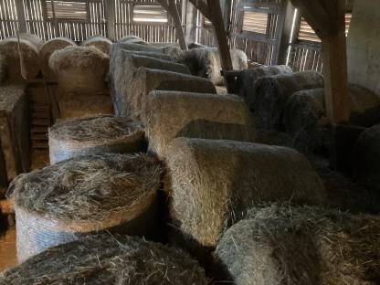 Bild 4:Heu Rundballen 1. und 2. Schnitt 2024