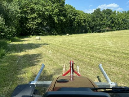 Bild 7:BIO-Heu 1. Schnitt 2025 in Rundballen