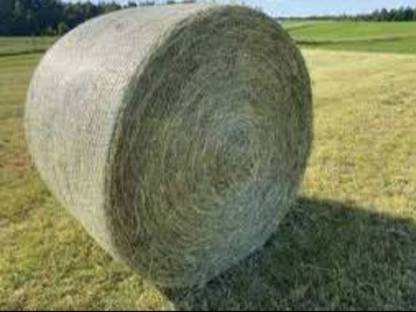 Heu Rundballen