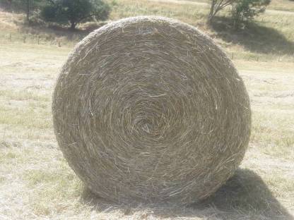 Heuballen