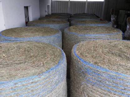 Bild 4:Rundballen und Kleinballen mit Warmluft belüftet