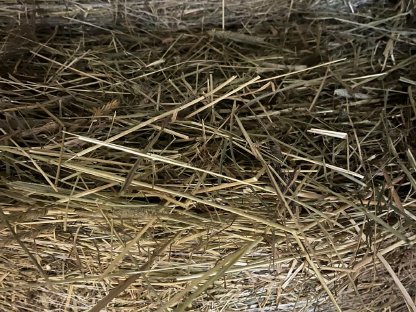 Bild 3:Heu Rundballen 1. Schnitt 2025