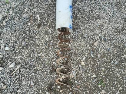 Bild 3:Wildfellnerschnecke