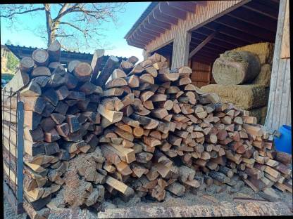 Bild 2:Lärchenstipel