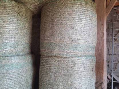 Bild 2:Heu Heuballen Rundballen Pferdeheu 1. Schnitt