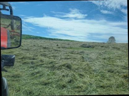 Bild 2:Bio Heu Rundballen, 1. Schnitt Pferdeheu