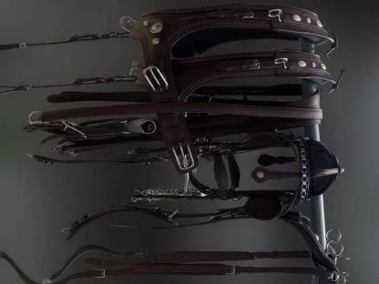 Bild 3:Edles Zweispänner-Marathon-Kumtgeschirr