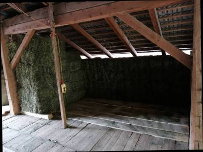 Bild 5:Verkaufe Kleinheuballen ca. 18 kg