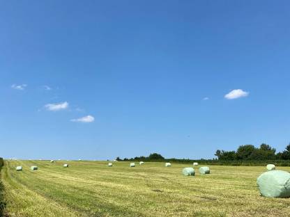 Rundballen wickeln