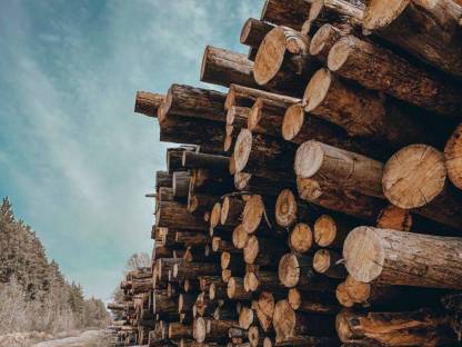 Trockenes Brennholz
