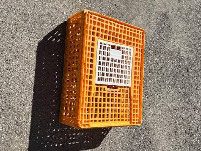 Geflügel Transportbox