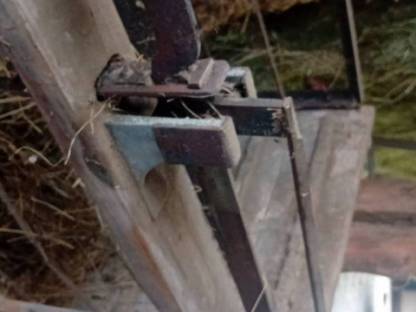 Bild 2:Viehwaage Mutterkuh