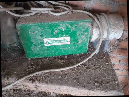 Bild 4:Wildfellnerschnecke