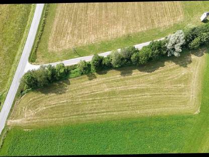 Bild 2:Landwirtschaftliche Grünfläche