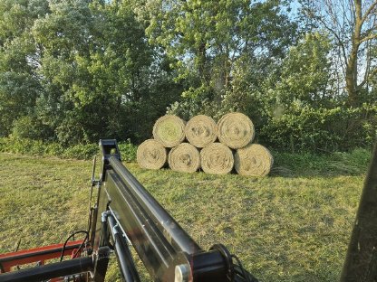 Bild 6:Heu Rundballen Rotklee- und Wiesenheu