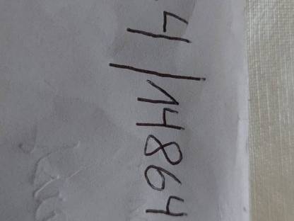 Bild 9:Hasen Satin und Löwenkopf