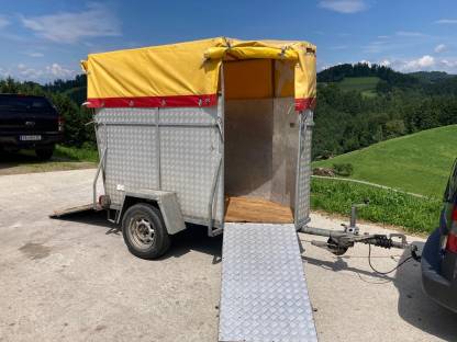 Bild 6:Autoanhänger Ablinger Viehanhänger