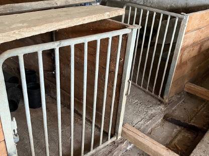 Bild 3:Aufstallung Schweine