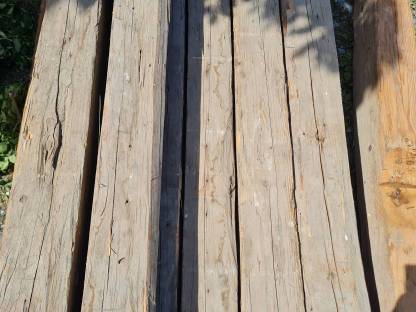 Bild 8:Gehackte Trame, Altholz