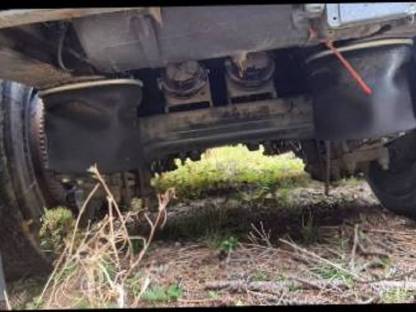 Bild 3:Rungenanhänger