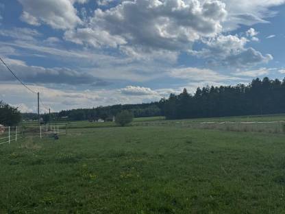 Bild 9:Einstellplatz in Offenstallhaltung