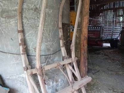 Holzschlitten Holzbringung