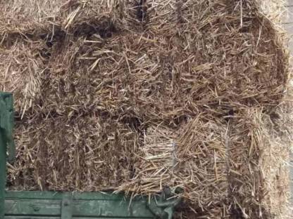 Bild 2:Stroh