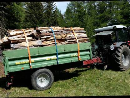 Bild 3:Brennholz