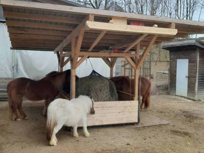 Bild 5:Einstellplatz im Offenstall