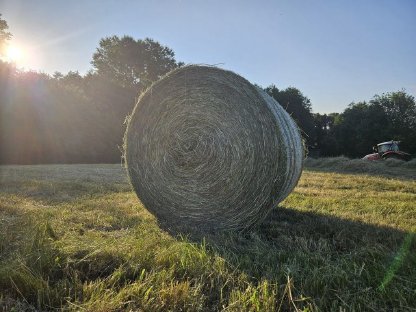 Bild 8:Heu Rundballen Rotklee- und Wiesenheu