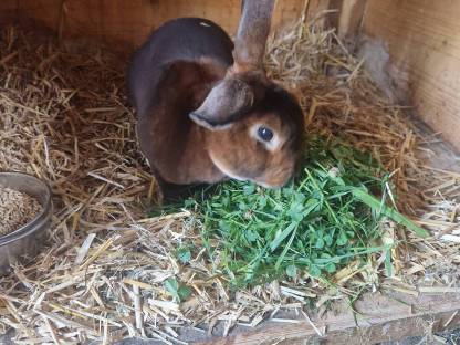 Bild 5:Verkauf  Gastro Rex