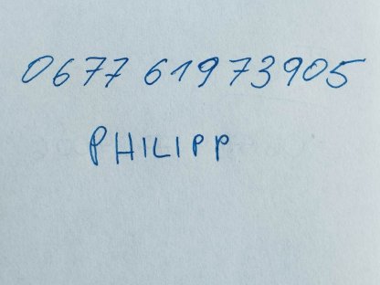 Bild 2:Seidenhuhn Küken