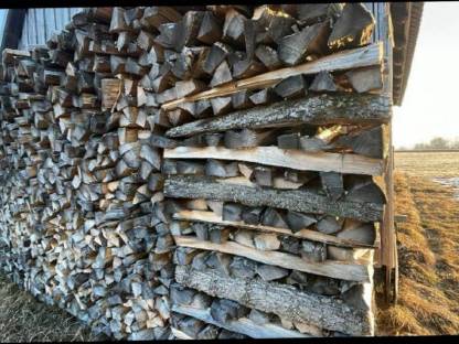 Bild 2:Brennholz