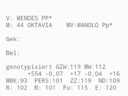 Bild 6:Verkaufe Fleckviehstiere