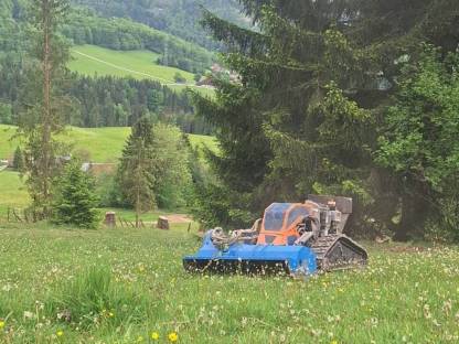Mulcharbeiten von Steilhängen