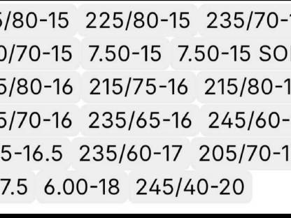 Bild 8:Pewag 4x4 Schneeketten