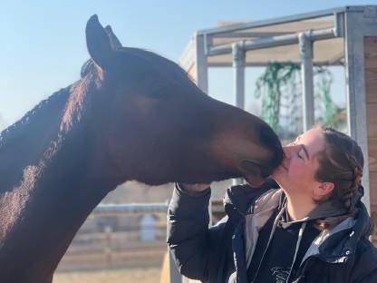 Bild 2:BDH Silas ibn Sauda Zahra - Partbred Araber