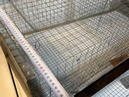 Bild 3:Gluckenkäfig, Quarantänestall
