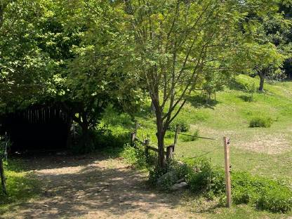 Bild 3:Einstellplatz für Pensionspferde