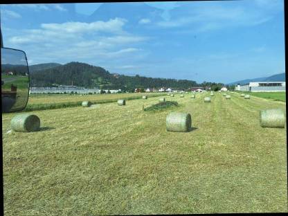 Bio Heuballen 1. Schnitt 2025