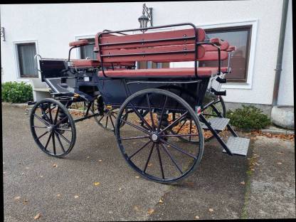 Bild 3:Wagonette für 8 Personen