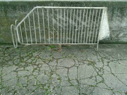 Bild 2:Aufstallung von Zuchtsauen