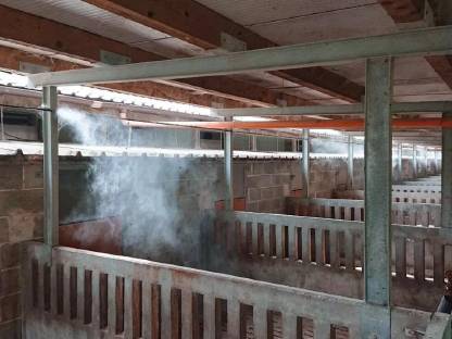 Bild 2:Sprühnebel Stallkühlung, Hallenkühlung, Rauchsysteme