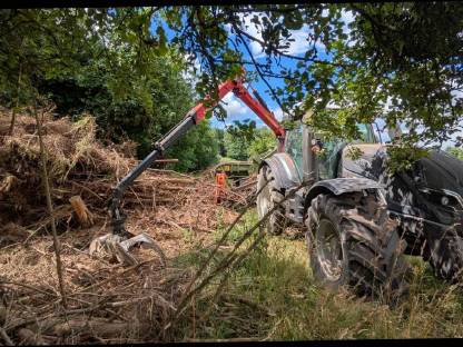 Bild 2:Biete Lohnhacken von Holz an