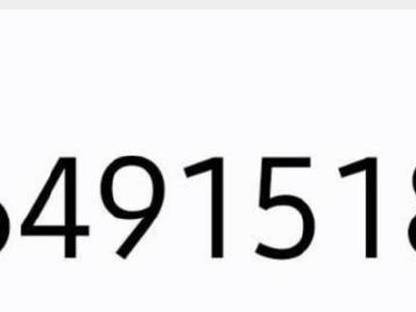 Bild 2:Diese Zapfsäule