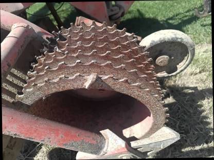 Bild 3:Barigelli Collina E